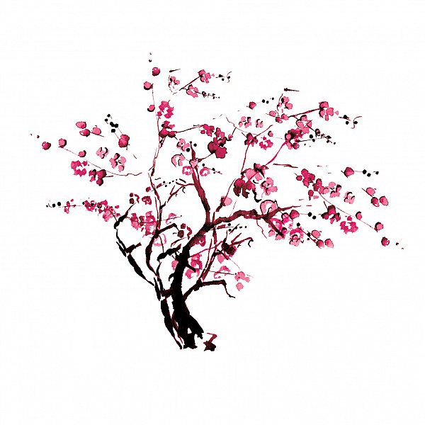 Tree for Galleries.jpg