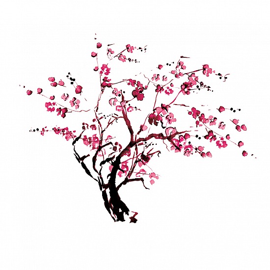 SBA 23 24 8th Grade Graduation